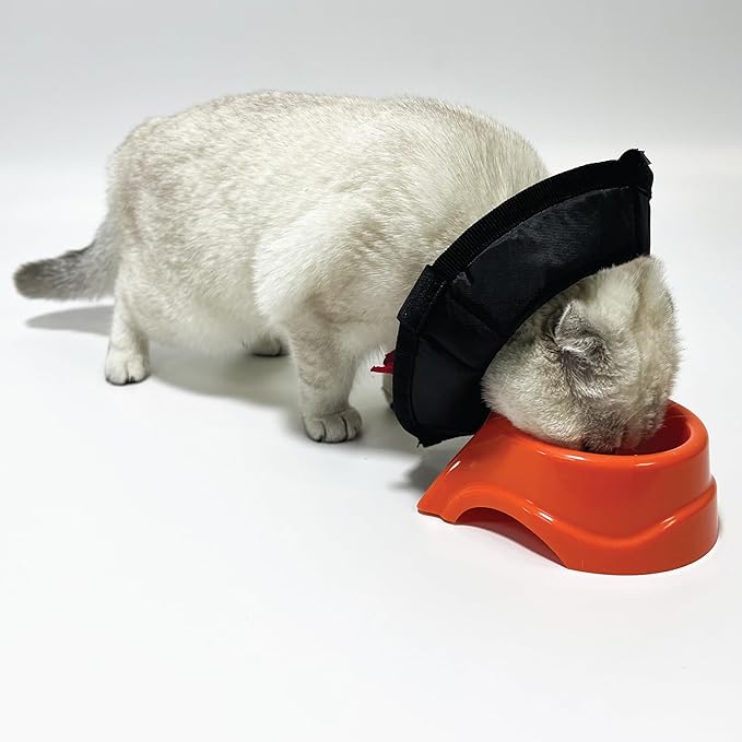 Dog Cone Collar Adjustable After Surgery, Protective Soft Dog Cone, Elizabethan Dogs Collar (Black, S Long [Neck Girth: 11.4"-14.2"])