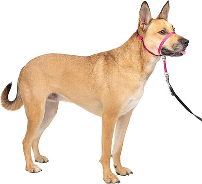 PetSafe Gentle Leader Headcollar No-Pull Dog Collar - Helps Improve Walks - Durable Nylon Construction - Padded Nose Loop - Adjustable Fit - Comfort Walking Halter - Medium, Raspberry Pink