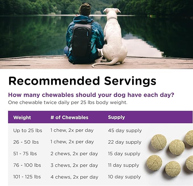 Nutri-Vet Bladder Control Supplement, Cranberry Supplement, Dog Products, Immune Support, Helps Dog Urinary Incontinence, Bladder Control Pills, Urinary Tract Health, Puppy Support, 90 Tablets