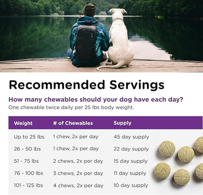 Nutri-Vet Bladder Control Supplement, Cranberry Supplement, Dog Products, Immune Support, Helps Dog Urinary Incontinence, Bladder Control Pills, Urinary Tract Health, Puppy Support, 90 Tablets