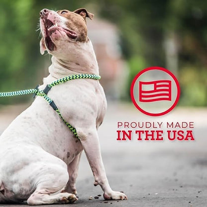 Harness Lead No Pull Dog Harness and Leash Set, Anti Pull Dog Harness, One-Piece Cushioned Rope Safely Prevents Escaping and Pulling (Medium/Large, Rainforest)