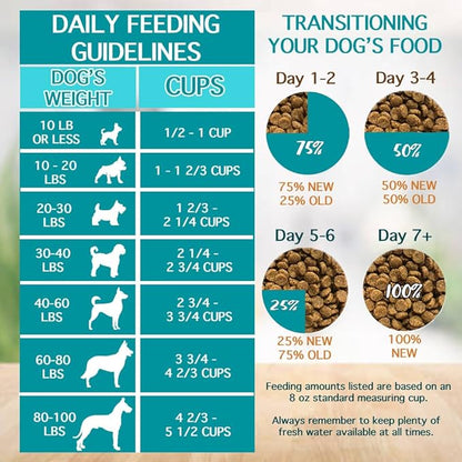 Chicken Soup for The Soul All Natural Premium Adult Dry Dog Food, Real Meat First Ingredient, No by-Products, Supports Gut & Immune Health, Chicken, Turkey & Brown Rice, 40lb