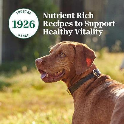 Nutro Hearty Stew Canned Wet Dog Food, Natural Grain Free Dog Food Wet Cuts in Gravy Meaty Lamb with Green Bean & Carrot Stew, 12.5 oz Cans (12 Count, Pack of 1)