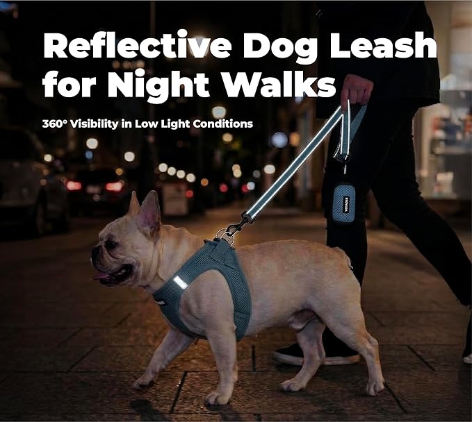 Best Pet Supplies Voyager Reflective Dog Leash or Collar with Neoprene Handle, for Small, Medium, and Large Breed Puppies, Cute and Heavy Duty for Walking, Running and Training - Baby Blue (Leash), M