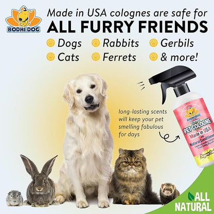 Bodhi Dog Premium Dog Cologne - Deodorizing Dog Perfume & Conditioner for Dogs & Cats - Natural Long Lasting Spray - Keeps Pets Fresh All Day - Gentle, Safe Formula, Made in USA -Sugar Cookie 17 Fl Oz