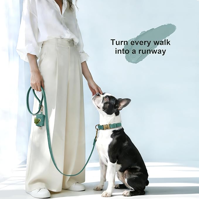 Didog Soft PU Leather Dog Collar, Stylish Quick Released Dog Collars for Medium Dogs, Easy Clean Adjustable Pet Collar for Daily Walking, Green, M Fit 14-18" Neck