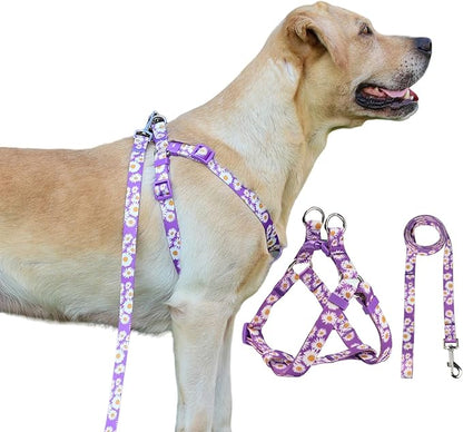 Harness and Leash Set, Floral Pattern, 5ft Matching Leash, No Pull, Easy Wear for Small Dogs.(S, Purple Daisy)