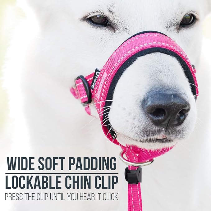 GoodBoy Dog Head Halter with Safety Strap - Stops Heavy Pulling On The Leash - Padded Headcollar for Small Medium and Large Dog Sizes - Head Collar Training Guide Included (Size 2, Pink Nylon)