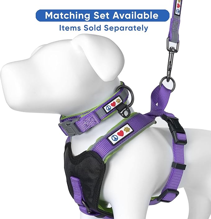 Pawtitas Lumberjack Padded Martingale Collar for Dogs | Soft Neoprene Dog Collar for Your pet's Comfort Made with Reflective Band for Maximum Visibility | Fits Small and Large Pets - XXS Purple