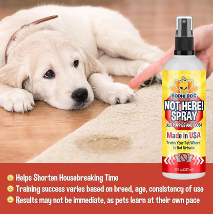 Bodhi Dog Not Here Spray - Trains Pets Where Not To Pee - Dog & Puppy Potty Training Spray to Stop Marking & Urinating Indoors or Outdoors - Safe for Furniture, Carpet & Floors - Made in USA (8 Fl Oz)
