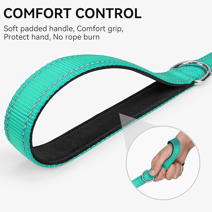 Joytale Dog Leash, 5 FT Double-Sided Reflective, Padded Handle Nylon Heavy Duty Leashes for Medium & Large Dogs Walking, Teal