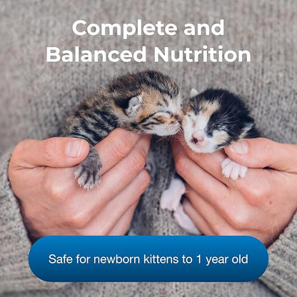 PetAg KMR Kitten Milk Replacer Powder - 12 oz - Powdered Kitten Formula with Prebiotics, Probiotics & Vitamins for Kittens Newborn to Six Weeks Old - Easy to Digest