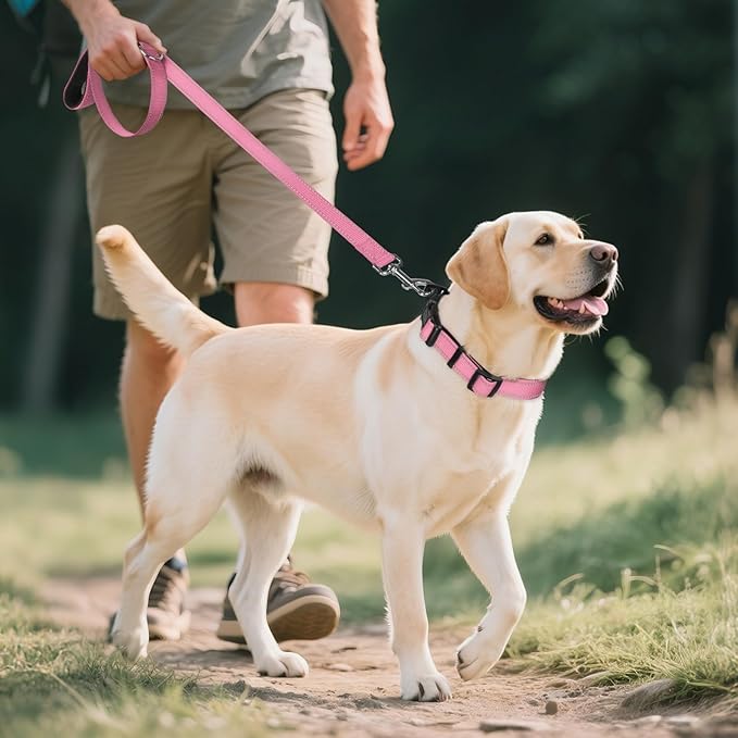 Joytale Reflective Dog Collar, Soft Neoprene Padded, Metal D-Ring, Nylon Pet Collar Adjustable for Extra Large Dogs, Pink, XL