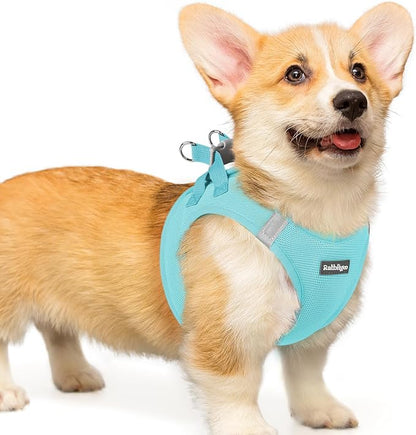rabbitgoo Small Dog Harness, Step-in Soft Mesh Puppy Vest with Safety Buckle, Breathable Reflective Pet Harness for Small Medium Dogs, Mint Blue L