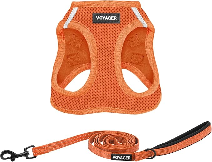 Best Pet Supplies Voyager Step-in Air All Weather Mesh Harness and Reflective Dog 5ft Leash Combo with Neoprene Handle, for Small, Medium and Large Breed Puppies - Set (Orange), Small