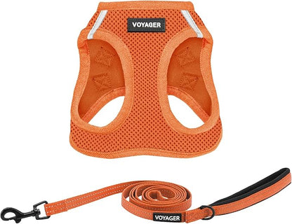 Best Pet Supplies Voyager Step-in Air All Weather Mesh Harness and Reflective Dog 5ft Leash Combo with Neoprene Handle, for Small, Medium and Large Breed Puppies - Set (Orange), Small