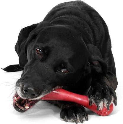 WEST PAW Zogoflex Hurley Dog Bone Chew Toy – Floatable Pet Toys for Aggressive Chewers, Catch, Fetch – Bright-Colored Bones for Dogs – Recyclable, Dishwasher-Safe, Non-Toxic, Large 8.25", Ruby Red