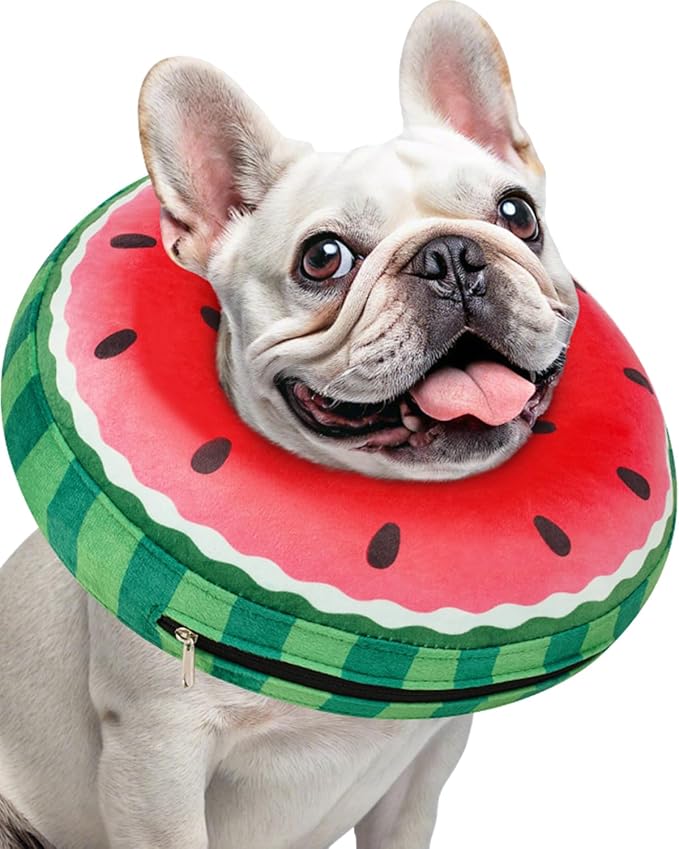 Inflatable Dog Pillow Cone Collar After Surgery, Donut Soft Neck Cone for Beagle French Bulldog Medium Plus Dogs, etc, Recovery E Collar to Stop Licking Watermelon