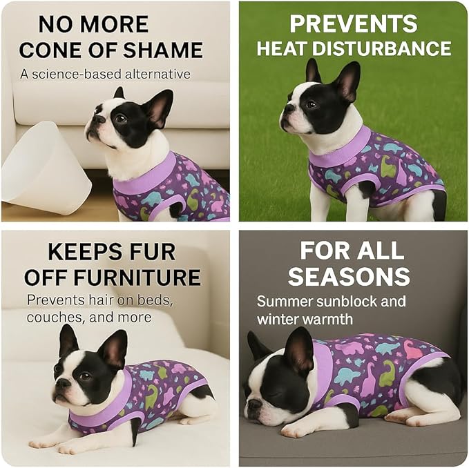 PetWarm Dog Post Surgery Suit Female Spay, Pet Recovery Suit for Dogs, Onesies for Dogs, Substitute E-Collar and Cone, Anti-Licking Dog Onesie for Surgery Female, Dinosaur Pattern, Purple, XS