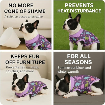PetWarm Male Dog Surgical Suit After Neuter, Dog Coat's Inner Clothes, Substitute E-Collar and Cone, Dog Onesies Pet Surgery Recovery Suit for Dogs, Dinosaur Pattern, Purple, S