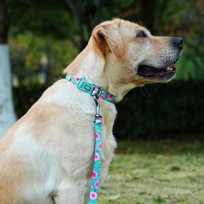 Dog Collar and Leash Set, Rose Pattern, Polyester Material, 5ft Matching Leash, for Medium Dogs.(M, Green Rose Set)
