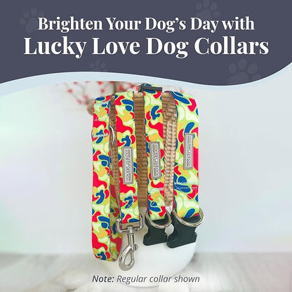 Lucky Love Dog Martingale Dog Collar & Leash - Adjustable, No-Slip, Durable, Comfortable, Soft Webbing, & Stylish Patterned Collar & Leash Set for Male and Female Dogs - Oscar Combo, Medium