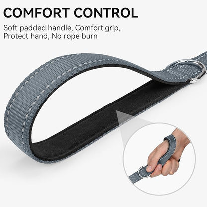 Joytale Dog Leash, 6 FT Double-Sided Reflective, Padded Handle Nylon Heavy Duty Leashes for Medium & Large Dogs Walking, Grey