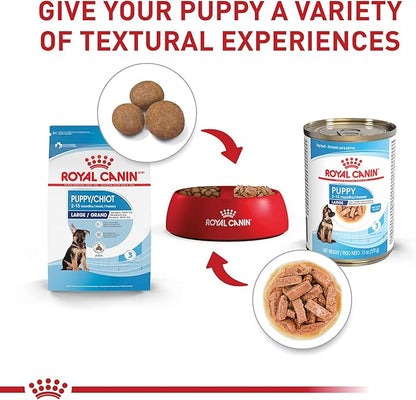 Royal Canin Size Health Nutrition Large PuppyThin Slices in Gravy Dog Food, 13 oz (Pack of 12)