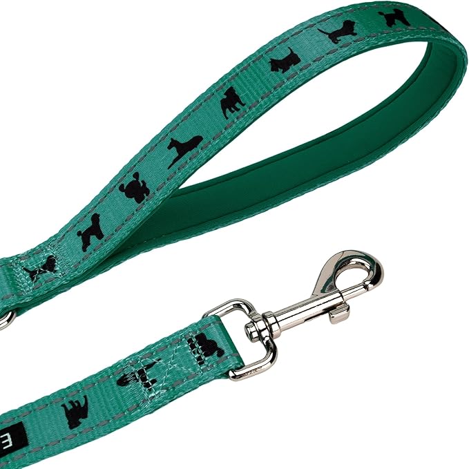 EcoBark Dog Leash - Soft & Reflective Forest Green Comfort Leash with Padded Handle - Strong Durable Heavy Duty - Training and Pulling for Small, Medium or Large Dogs