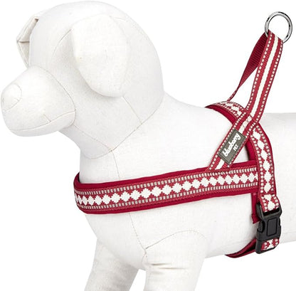 Blueberry Pet 4 Colors Soft & Comfy 3M Reflective Jacquard Padded Dog Harness, Chest Girth 20.5" - 26", Marsala Red, Medium, Adjustable Harnesses for Dogs