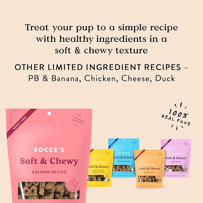Bocce's Bakery Oven Baked Salmon Recipe Treats for Dogs, Wheat-Free Everyday Dog Treats, Made with Real Ingredients, Baked in The USA, Natural Soft & Chewy Cookies, Salmon, 6 oz