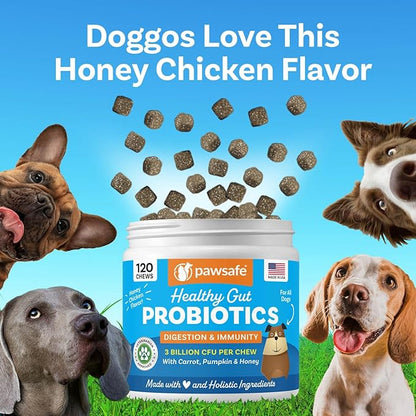 PawSafe® Dog Probiotics Soft Chews for Picky Eaters - USA Made, 120 Count - Digestive & Gut Health, Diarrhea, Gas Relief, Allergy & Itchy Skin Support - Natural with Pumpkin - Honey Chicken Flavor