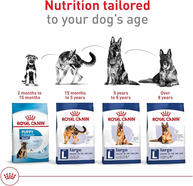Royal Canin Size Health Nutrition Large Adult Dry Dog Food, 30 lb Bag