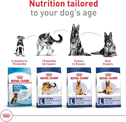Royal Canin Size Health Nutrition Large Adult Dry Dog Food, 30 lb Bag