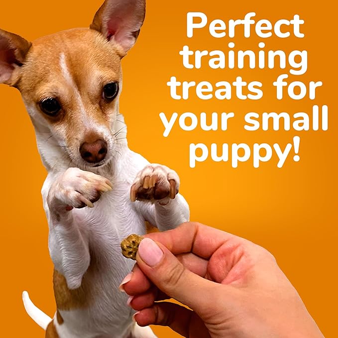 Fruitables Dog Treats, Pumpkin Mango, 5 Ounces | Pack of 2 | Low Calorie | Training Treats | Grain Free