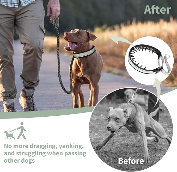 Mayerzon Martingale No Pull Collar for Medium Large Dogs, Patented Anti Pull Dog Collar with Buckle for Walking Training, with Neoprene Padding and Reflective Stitching, Adjustable(Grey, L)