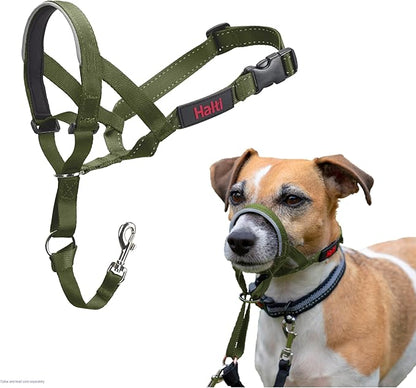 Halti Headcollar - Stop Your Dog Pulling on The Leash. Adjustable, Reflective and Lightweight, with Padded Nose Band. Dog Training Anti-Pull Collar for Small Dogs (Size 1, Forest Green)