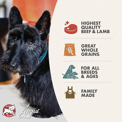 Fromm Four-Star Nutritionals Highlander Beef, Oats, & Barley Dog Food - Premium Dry Dog Food - Beef Recipe - 12 lb