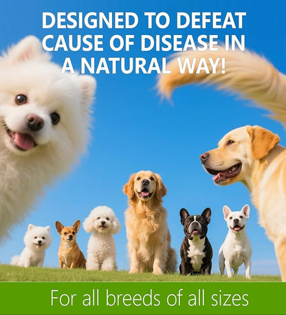 Natural Antibiotics for Dogs, Dog Allergy Supplies Antibiotics, Dog Multivitamin for Pets, Dog Itch Relief,Dog Multivitamin,Natural Dog Antibiotics Supports Dog Allergy and Itch Relief
