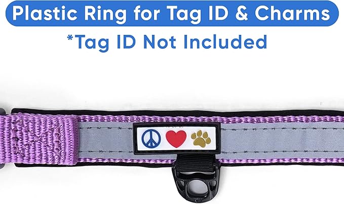 Pawtitas Lumberjack Padded Martingale Collar for Dogs | Soft Neoprene Dog Collar for Your pet's Comfort Made with Reflective Band for Maximum Visibility | Fits Small and Large Pets - Medium Orchid