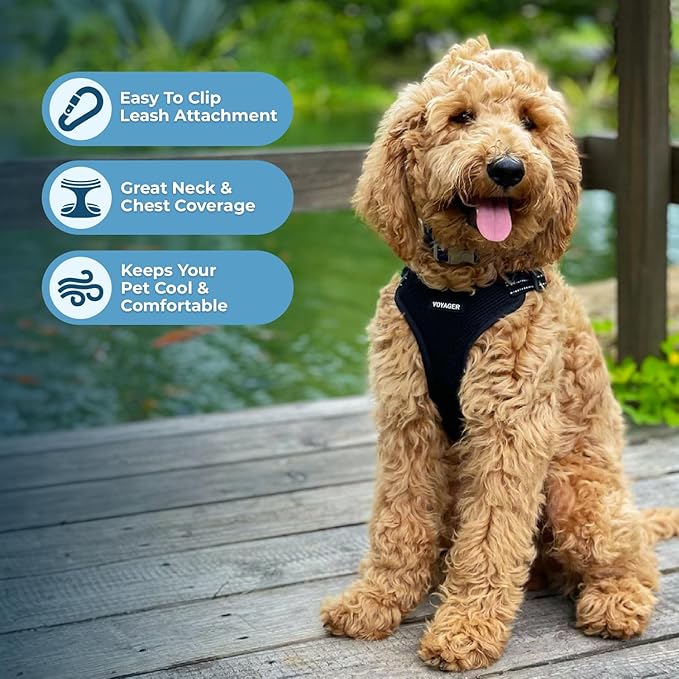 Best Pet Supplies Voyager Adjustable Step-In Flex Breathable Mesh Dog Harness for Small Medium Large Dogs (Black), XL