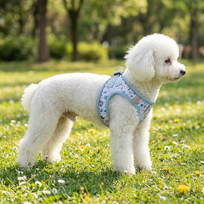 Mihqy Step in Dog Harness and Leash Set, Reflective Adjustable No Pull Dog Harness for Extra-Small/Small Dogs Puppy and Cats, Soft Padded Mesh Vest Harnesses for Girl and Boy Pets(Cute Insect,XXS)