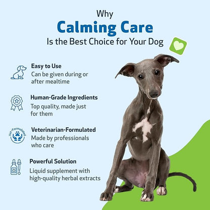 Pet Wellbeing Calming Care for Dogs - Vet-Formulated Holistic Behavior Support - Emotional Balance, Stress Care - Ashwagandha & Holy Basil Adaptogen Blend - Liquid Supplement 2 oz (59ml)