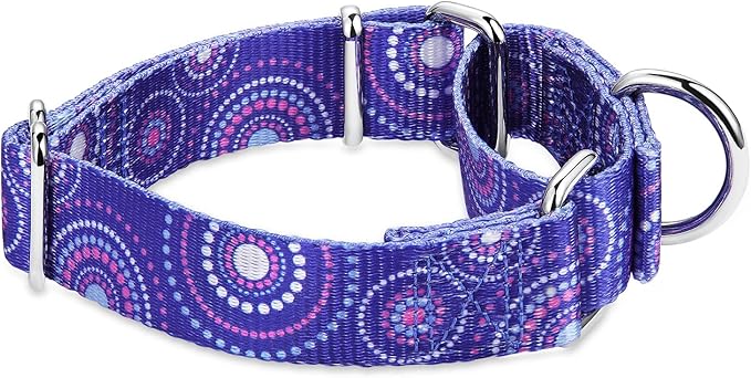 Martingale Collar Dog Collar No Pull Pet Collar Heavy Duty Dog Martingale Collars Silky Soft with Unique Pattern for Medium and Large Dogs (Large, 1 Inch Wide, Firework Dots -Royal Blue)