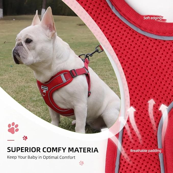 Dog Harness and Leash Set, Adjustable Triangle, Reflective Adjustable Puppy Vest, No Pull Soft Mesh Harness for Small, Medium Dogs, Cats (Red, L)