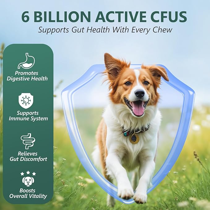 OcePor 400 Pcs Probiotics for Dogs, Dog Probiotics Chews for Yeast, Itchy Skin and Itchy Ears, Digestive Health, Diarrhea Relief, Gut & Immune Support, Pet Supplements (Chicken)