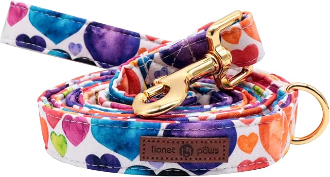 Lionet Paws Valentine's Day Dog Leash & Collar Set - Matching, Adjustable for Small to Large Dogs