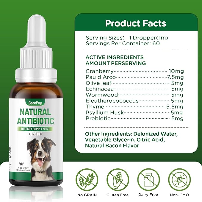 Antibiotics for Dogs,Natural Antibiotics for Dogs,Pet Antibiotic,Supplement for Urinary Tract Support, Digestion & Skin Health,Dog Allergy and Itch,Natural Herbal Supplement