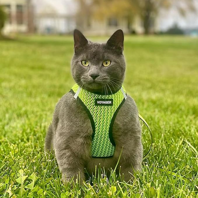 Best Pet Supplies - All Weather Mesh/Plush, Reflective, No Pull Harness for Small, Medium Dogs, Cats - Secure with Hook & Loop Fastener, Buckle, Double D-Rings - Lime Green 2-Tone, S