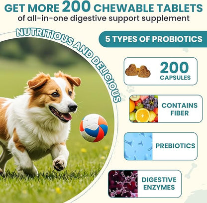 Probiotics for Dogs Gut Digestive Health Probiotic Chews for Dogs Digestive Enzymes Relieve Diarrhea Immunity Oral Problems Itching Constipation Prebiotics Dog Probiotics 200 Ct Chicken